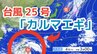 【台風情報】11月に台風発生「台風25号（カルマエギ）」今後の進路は？全国各地の雨風シミュレーション・16日間天気予報【気象庁 11月4日午後0時45分発表】　|TBS NEWS DIG