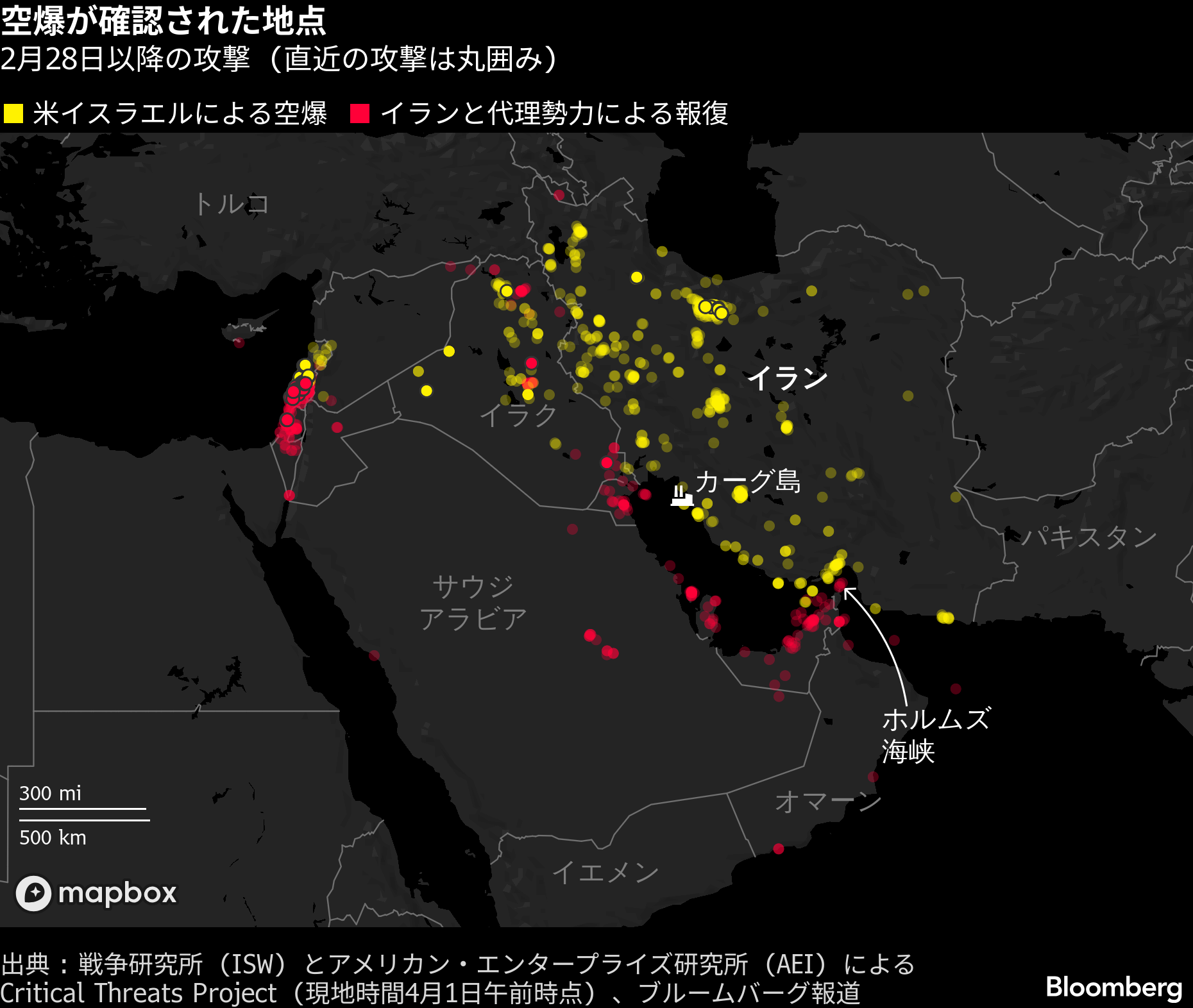 イラン輸入株 チャム ベアルート 選抜 🌿 今年最後のCHAMから、特別な贈り物 🌿 裏切らない価格、見逃すな
