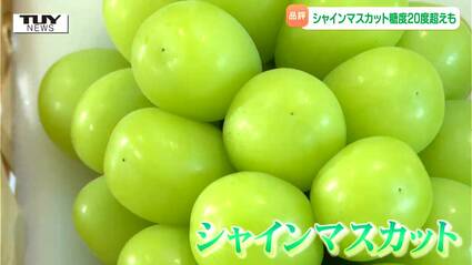 光り輝く極上の一粒！ 