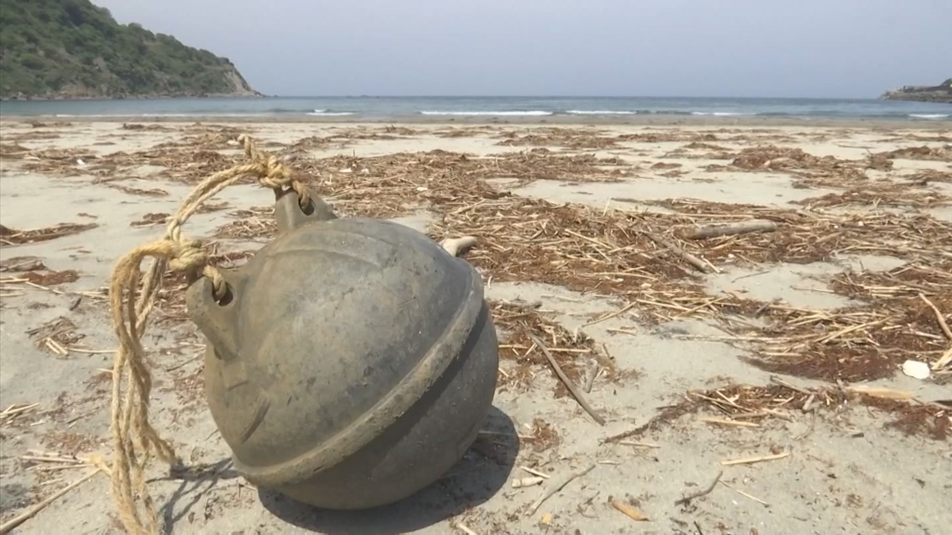 海の厄介者「漂着ブイ」を活用 プランターや…ヘルメットにも変身 | TBS NEWS DIG