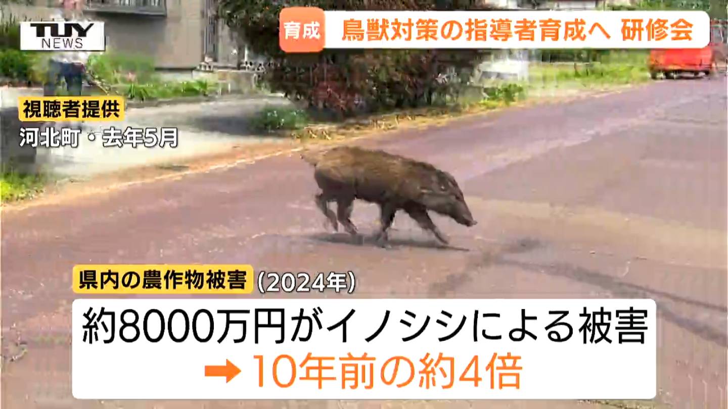 本州最大の動物はクマではなく…」断トツで農業被害を出すイノシシ 鳥獣