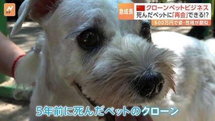 img_4bfe678332ac06a28ad2d1fbe2