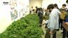 高校生が育てた野菜苗の販売会　価格と丈夫さで大人気|TBS NEWS DIG