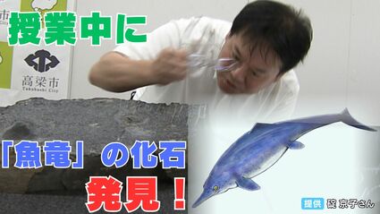 世界でも稀な「後期三畳紀の魚竜化石」美術館に展示中の岩石から発見