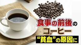 食事の前後のコーヒーで “貧血” に… ポリフェノールの一種が「鉄分の吸収を阻害」1日4杯以上飲む人、月経中の女性は注意|TBS NEWS DIG