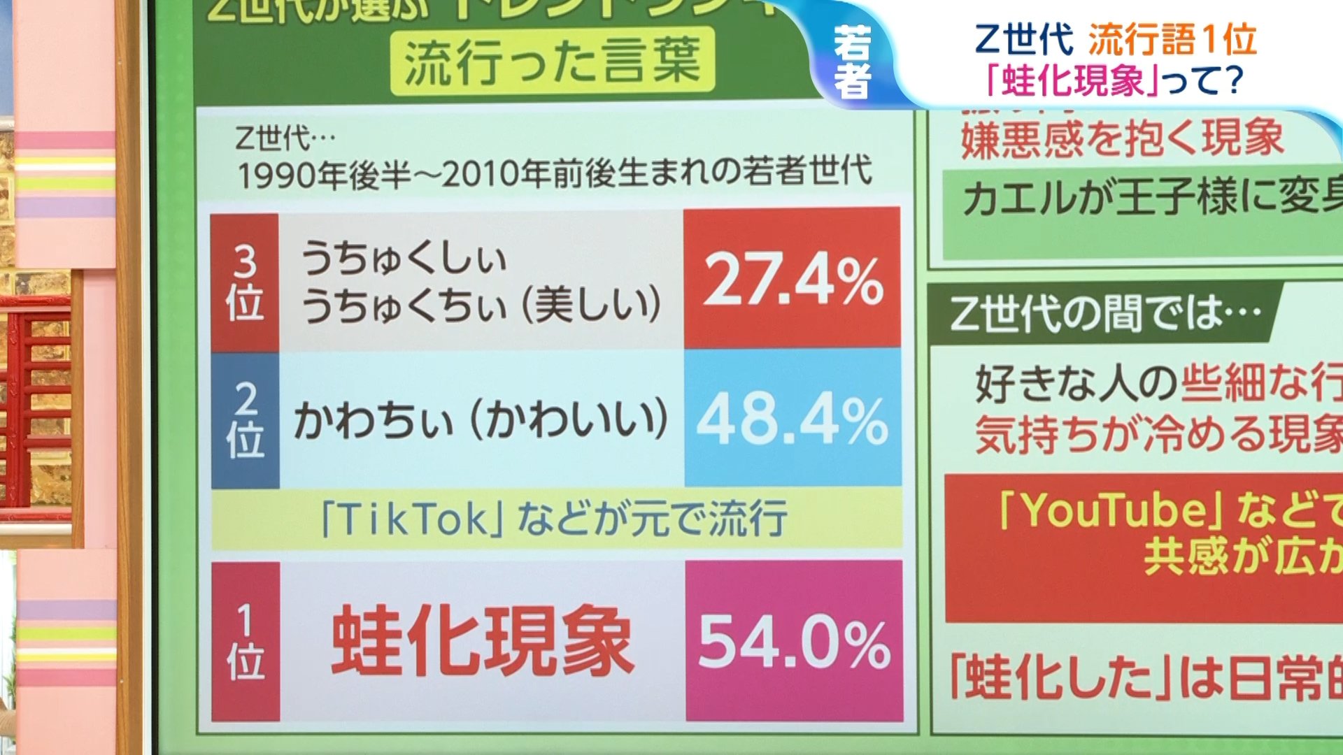 活動歴および当時の関連ビジュアル記録
