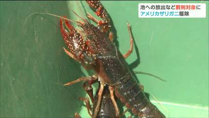 img_5869d6452469ab8a36cb085f0c