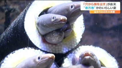 リアル『アナゴ』の恵方巻が登場 発泡スチロールの筒の争奪戦「椅子