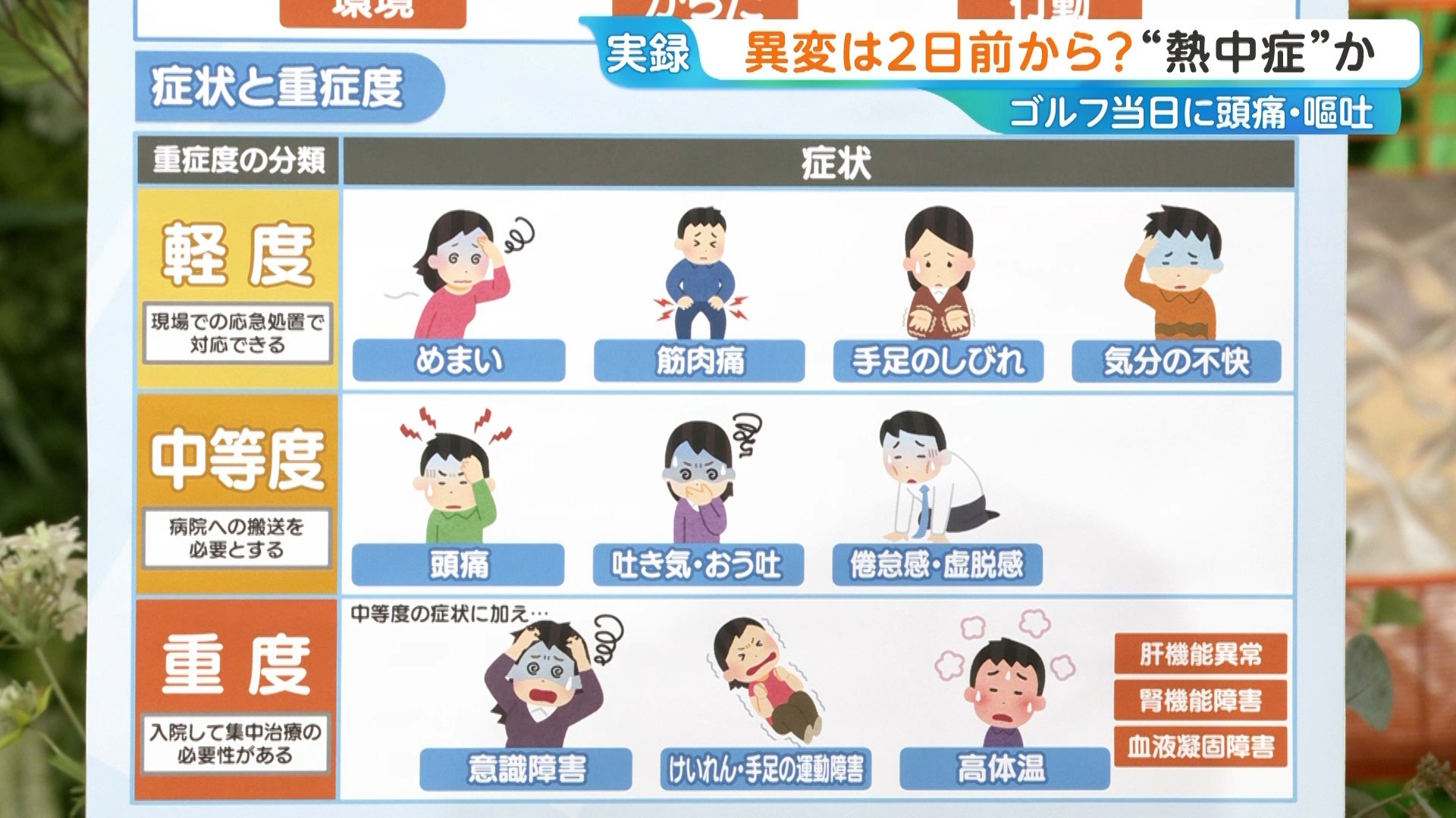 活動歴および当時の関連ビジュアル記録