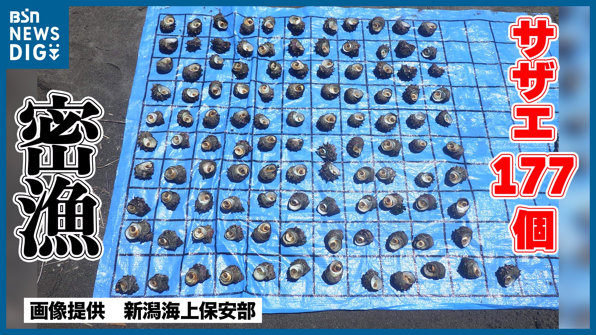 阿蘇海 密漁 – 阿蘇海 地図 : 宮津市天橋立 釣り注意場所 – GIVNJ