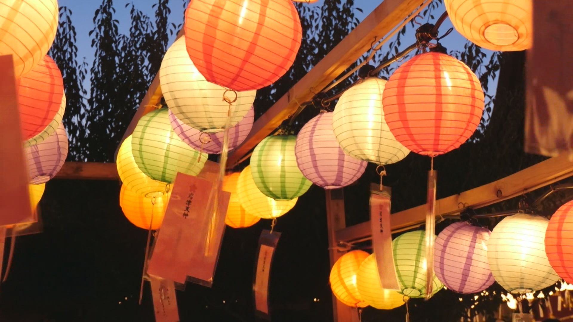 菅原道真を祀る岩津天満宮で献燈祭　４３０個の提灯が境内を優しく照らす　愛知・岡崎市