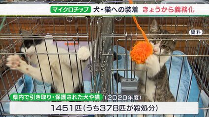 378匹殺処分された年も…飼育放棄の抑止力期待も きょうから販売犬・猫