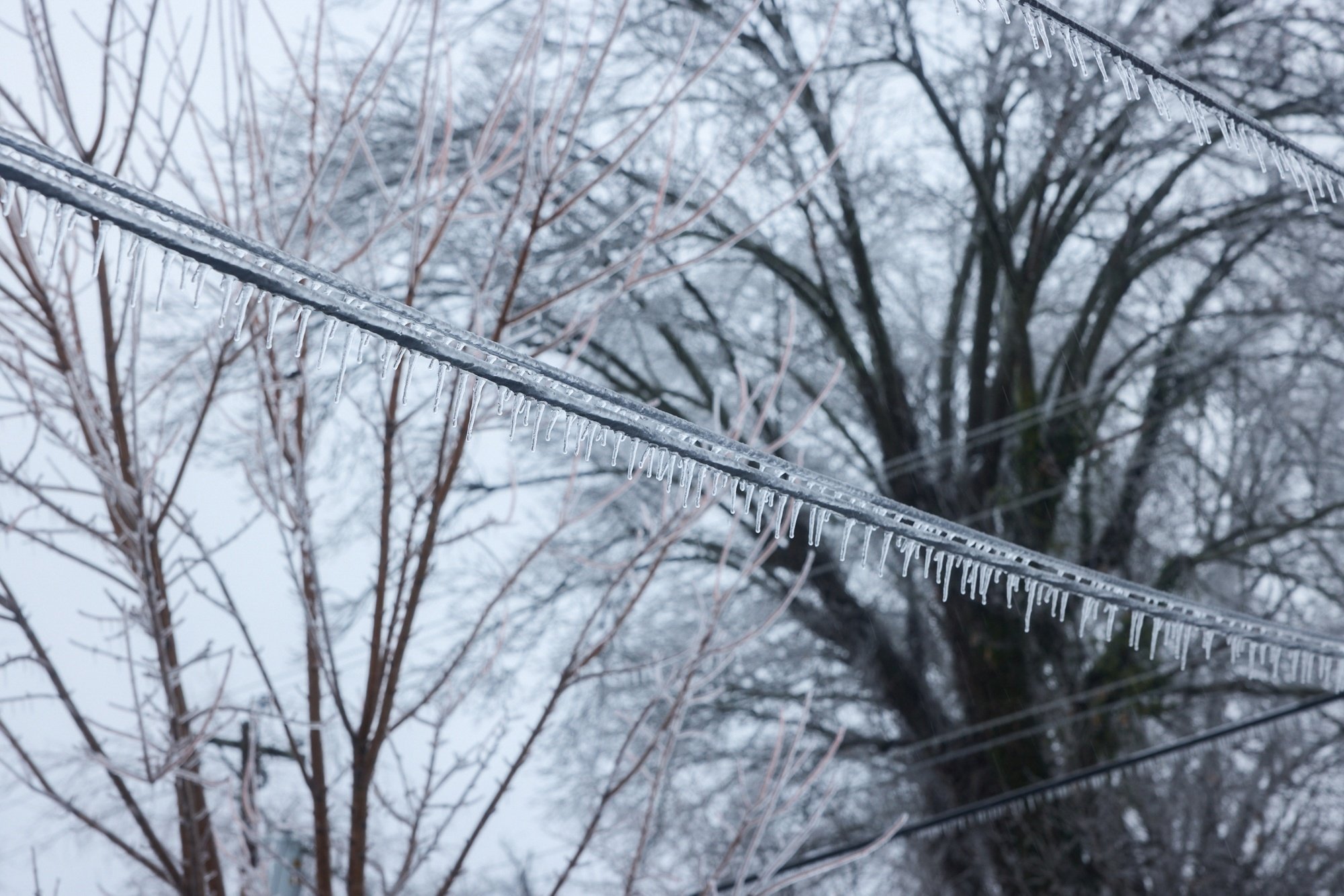 全米で冬の嵐、NYで大雪警戒－空の便が1万6000便欠航、停電93.3万戸