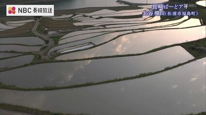 茜色に染まる「鏡」の絶景 一日わずか数十分…約400枚の棚田が織り成す