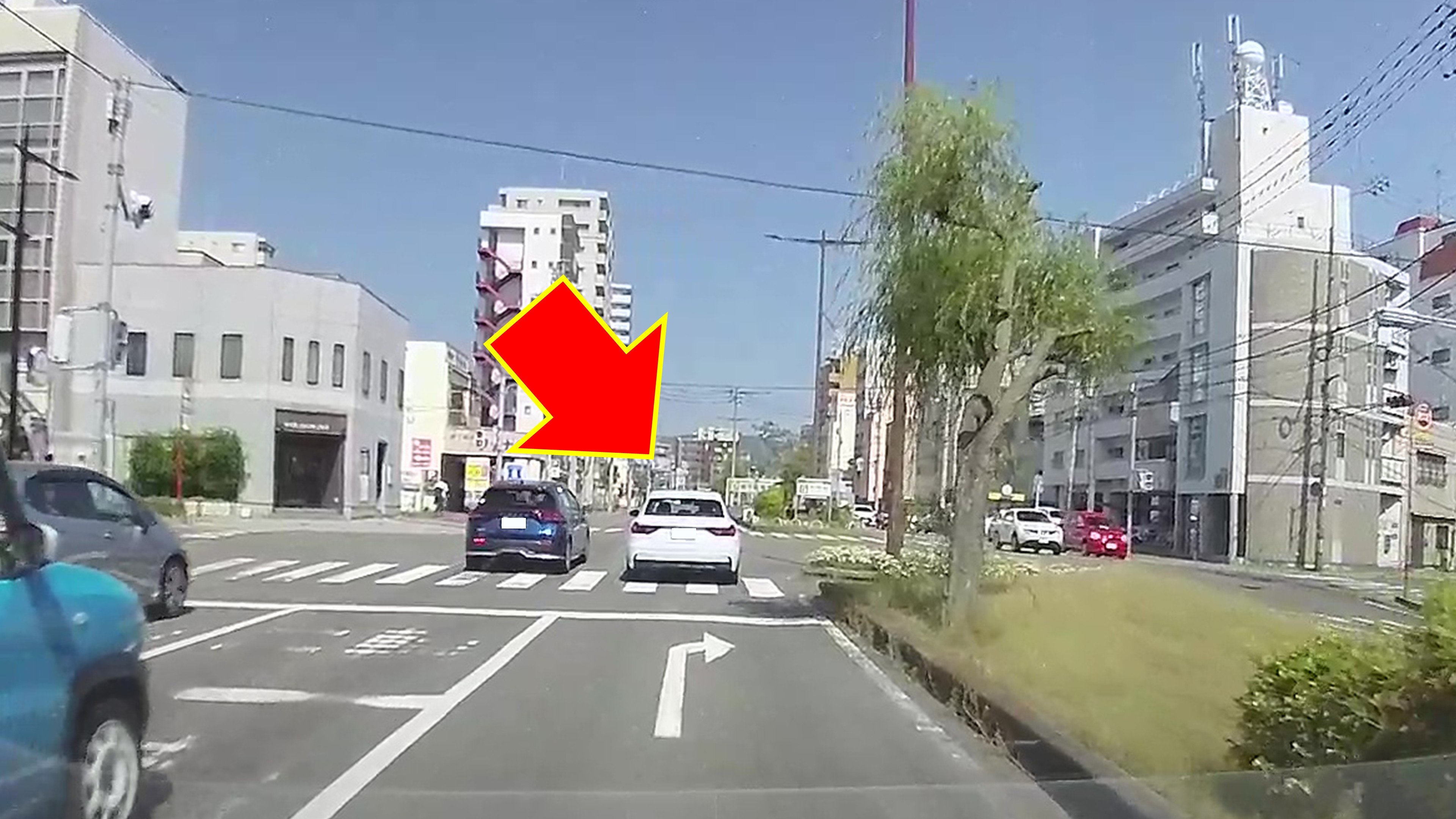 路面の「白矢印」無視は交通違反？意外と知らない見分け方を警察に聞い