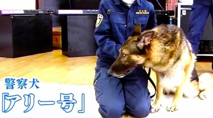 ワンちゃんが面白かった」園児が警察官の仕事体験も…一番注目集めたの