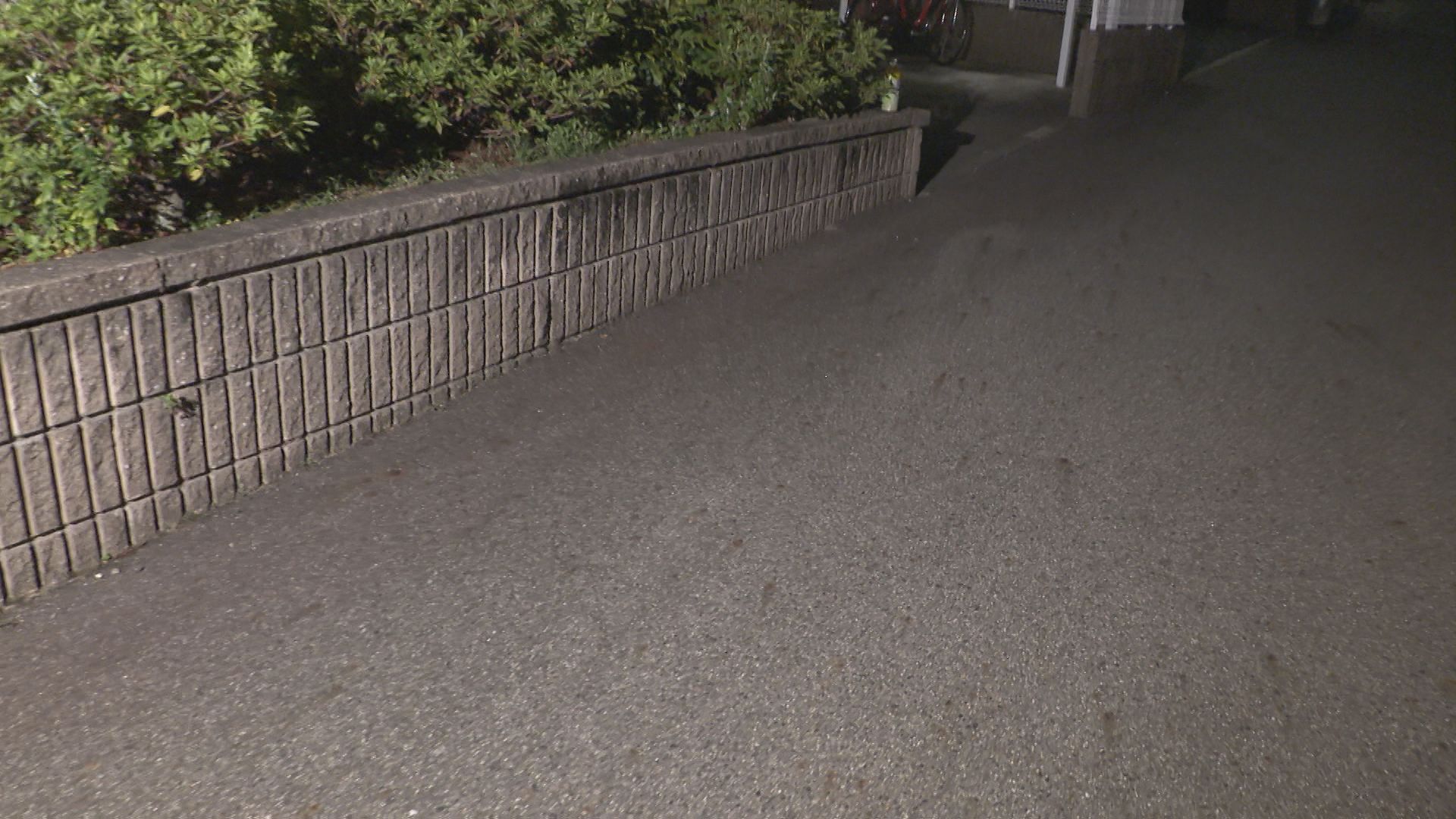 女性（66）が路上に倒れているのが見つかる　通りかかった女性が119番通報　愛知・豊田市