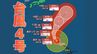 【台風情報】大型で猛烈な「台風4号」　最大瞬間風速は75メートル 17日（金）には小笠原近海予想　今後の進路は？14日（火）～19日（日）雨風シミュレーション【気象庁 14日最新情報】|TBS NEWS DIG