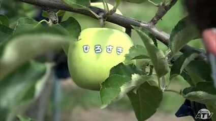 まリンゴページ 皆様おはりんごです°˖✧◝(⁰▿⁰)◜✧˖° #AI年の瀬の気配 ～本日夜まで