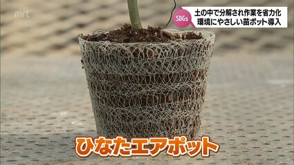 農作業の省力化も期待 土の中で分解される新しい苗ポットを高鍋町の