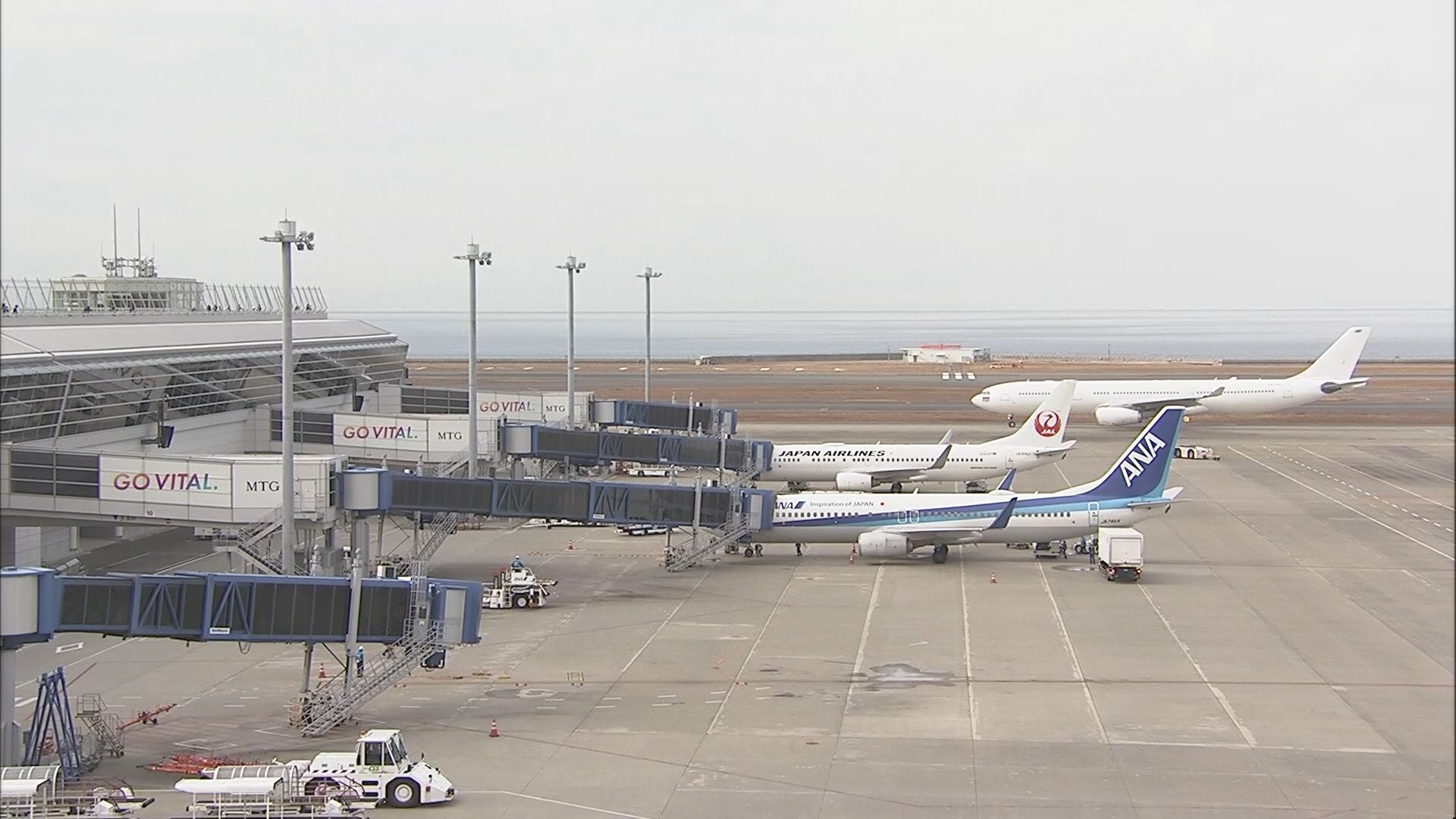 日本航空へのサイバー攻撃 システム復旧しチケット販売再開  中部空港では午後に出発遅れなどの影響も