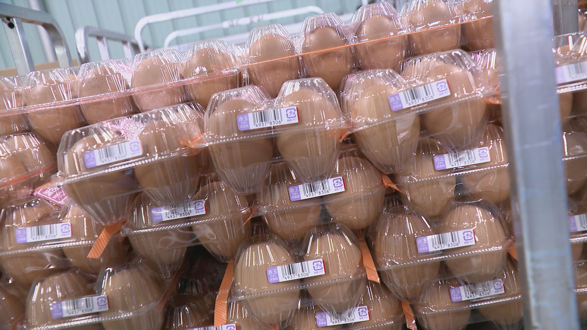 卵の価格高騰 今後の値段はどうなる？鳥インフルエンザ“厳重警戒” 養鶏場には「AI活用のレーザー発射装置」も