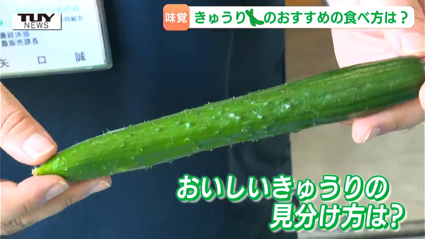 夏といえば「きゅうり」！生産者おすすめの食べ方＆おいしいきゅうりの