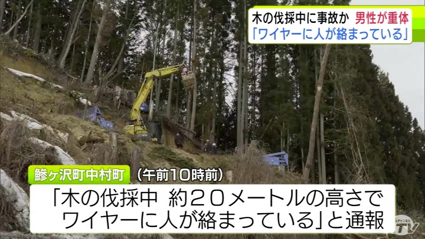 速報・追記あり】「木の伐採中、20mくらいの高さでワイヤーに人が