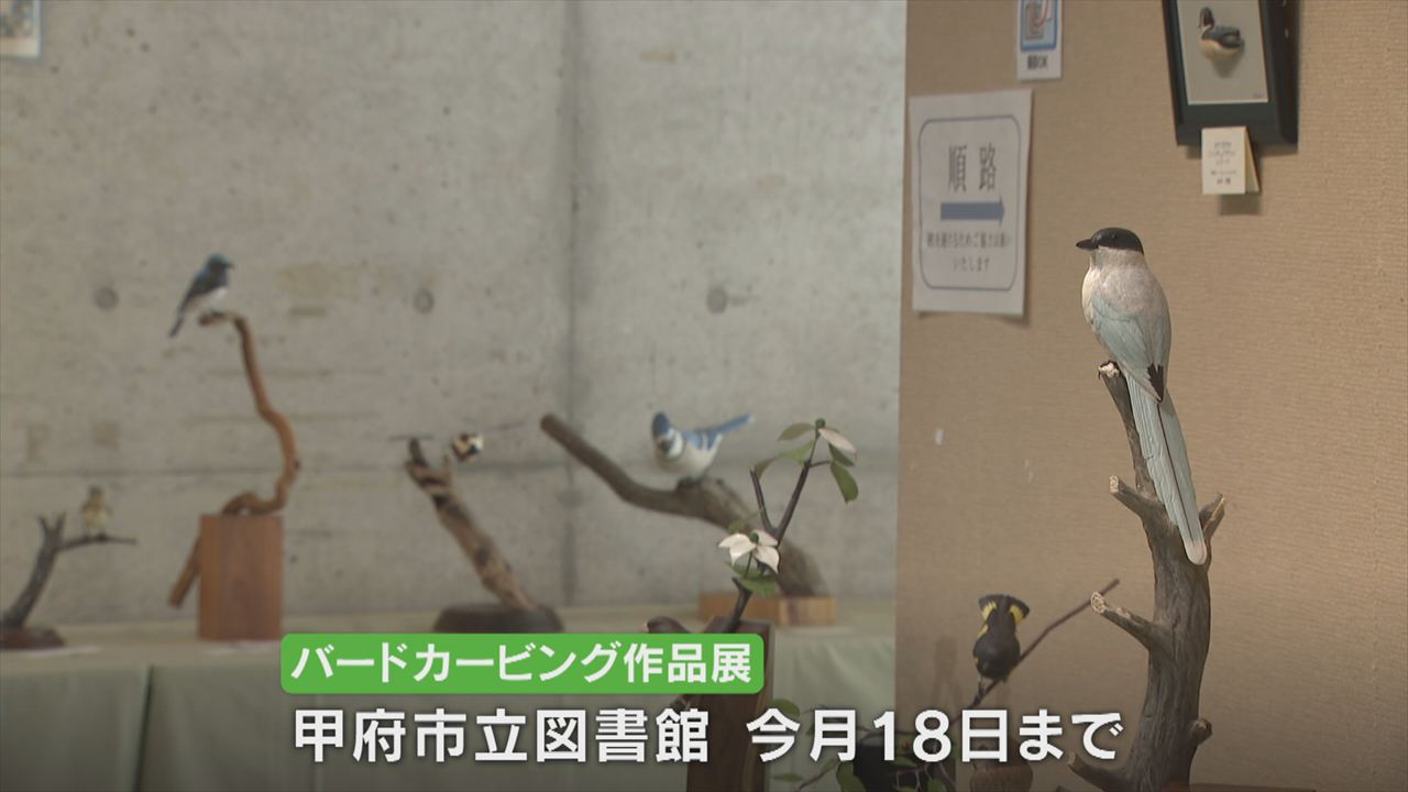 メジロやカワセミ 本物そっくりの野鳥の彫刻 バードカービング作品展