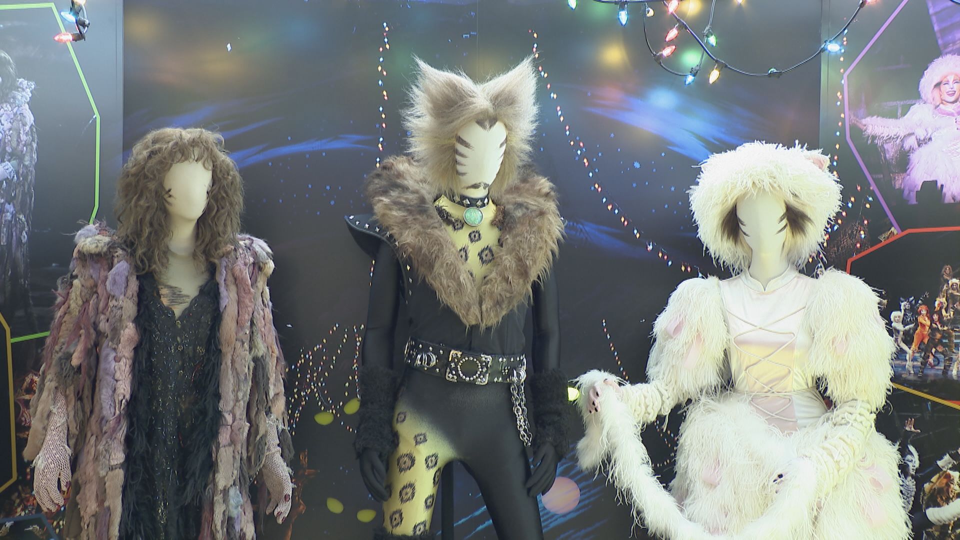 劇団四季のミュージカル「キャッツ」 日本上演40周年でイベント 実際の“衣装”や“ご当地ごみ”も | TBS NEWS DIG