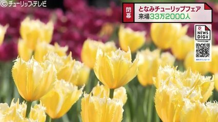 img_6fab6b5fada6120538d40038f9