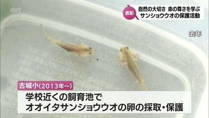 絶滅危惧種「オオイタサンショウウオ」の保護活動続ける 宮崎市の古城