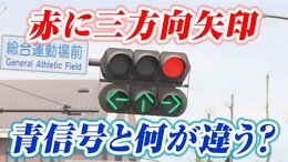 「青信号と何が違う？」赤に三方向矢印 信号機のナゾ 青が永遠に出ない場所も…その理由を探ってみた|TBS NEWS DIG