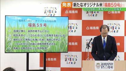 28年度に本格デビューへ！県オリジナル米「福島59号」発表 暑い夏でも