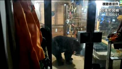 img_72bcf468f2a41530deb4275a2a