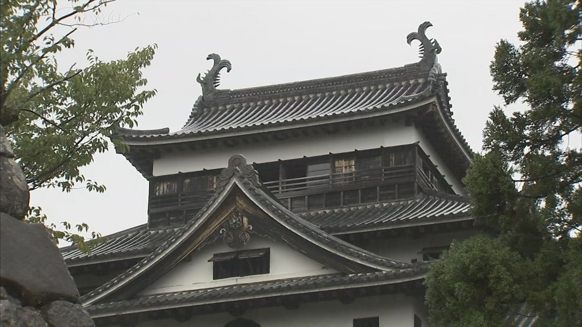 「なぜ？４９本をバッサリの計画」　国宝・松江城の天守近くの樹木　切らざるを得ないワケとは？　島根県・松江市|TBS NEWS DIG