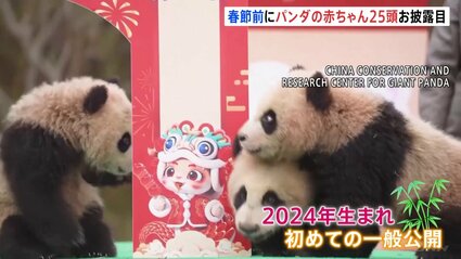 中国、パンダの飾り盾 Amazon.co.jp: 中国民芸品 パンダ 両面刺繍 置物 中国蘇州伝統工芸品