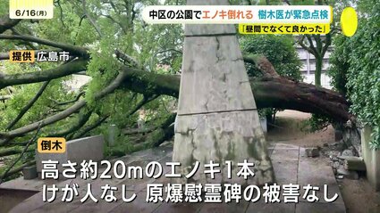 img_7922e77c8f9d8417d4f4279b7c