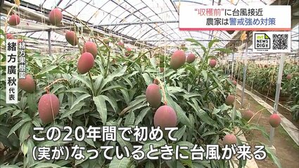 台風6号接近 