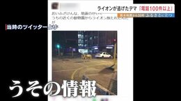 「ライオン逃げた」熊本地震のデマ　震度7の裏側で"避難や復旧を妨げた"もう一つの混乱|TBS NEWS DIG