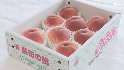 ゆ*)様 【新品】silicoco 西里可可 桃 大きいサイズ 色や形、味が非常に良くなっている」静岡市の特産「長田の桃」品評会