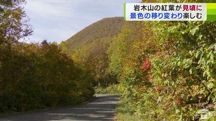 値引き、必見！完成木　山もみじ、３０年以上持込 値引き、必見！完成木 山もみじ、30年以上持込 - メルカリ