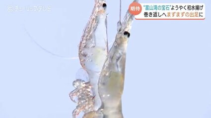 富山湾の宝石”シロエビようやく初水揚げ 悪天候で2日連続の休漁 初日は