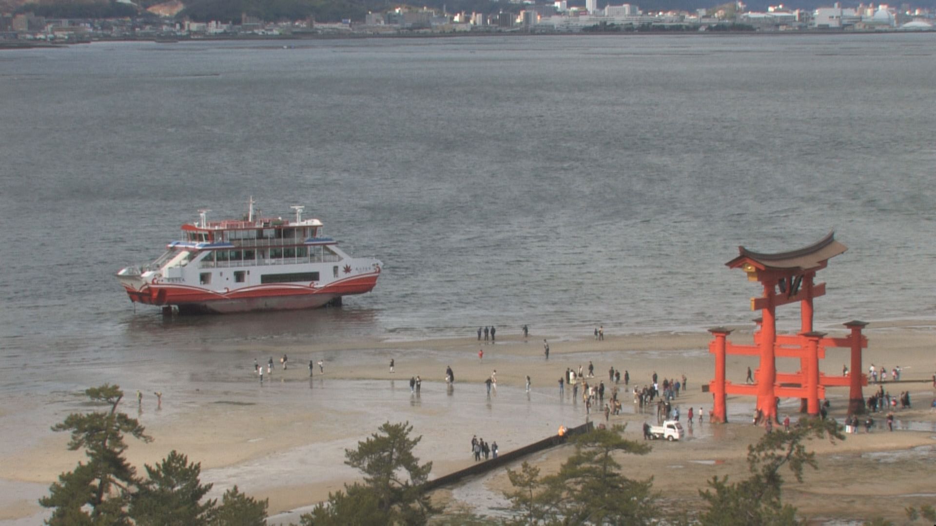 Y3452-12 宮島 屏風 衝立 大型 全長187.5㎝ 宮島鳥居付近で乗り上げた」と通報 フェリーが厳島神社の大鳥居付近で