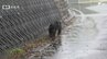 クマ目撃情報「道路を歩いているクマが…」浜松市浜名区で住民から市に連絡 猟友会などが警戒＝静岡|TBS NEWS DIG