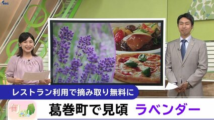 img_8f9e40137250b523e39858ad42