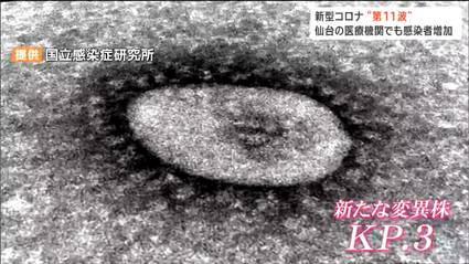 6月下旬以降すべてKP.3」新型コロナ第11波で感染者増加 熱中症と症状似