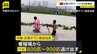 800～900匹のヘビが養殖場から逃げ出す コブラにかまれた女性死亡 中国・広西チワン族自治区で台風10号の豪雨による洪水発生|TBS NEWS DIG