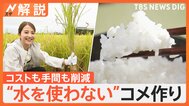 水をほとんど使わないコメ作り カギは“ビール”? 新農法はメタンガスも削減【Nスタ解説】|TBS NEWS DIG