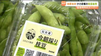 普通の枝豆と一線を画す”仙台産「今朝採り枝豆」ブランド化へ販売